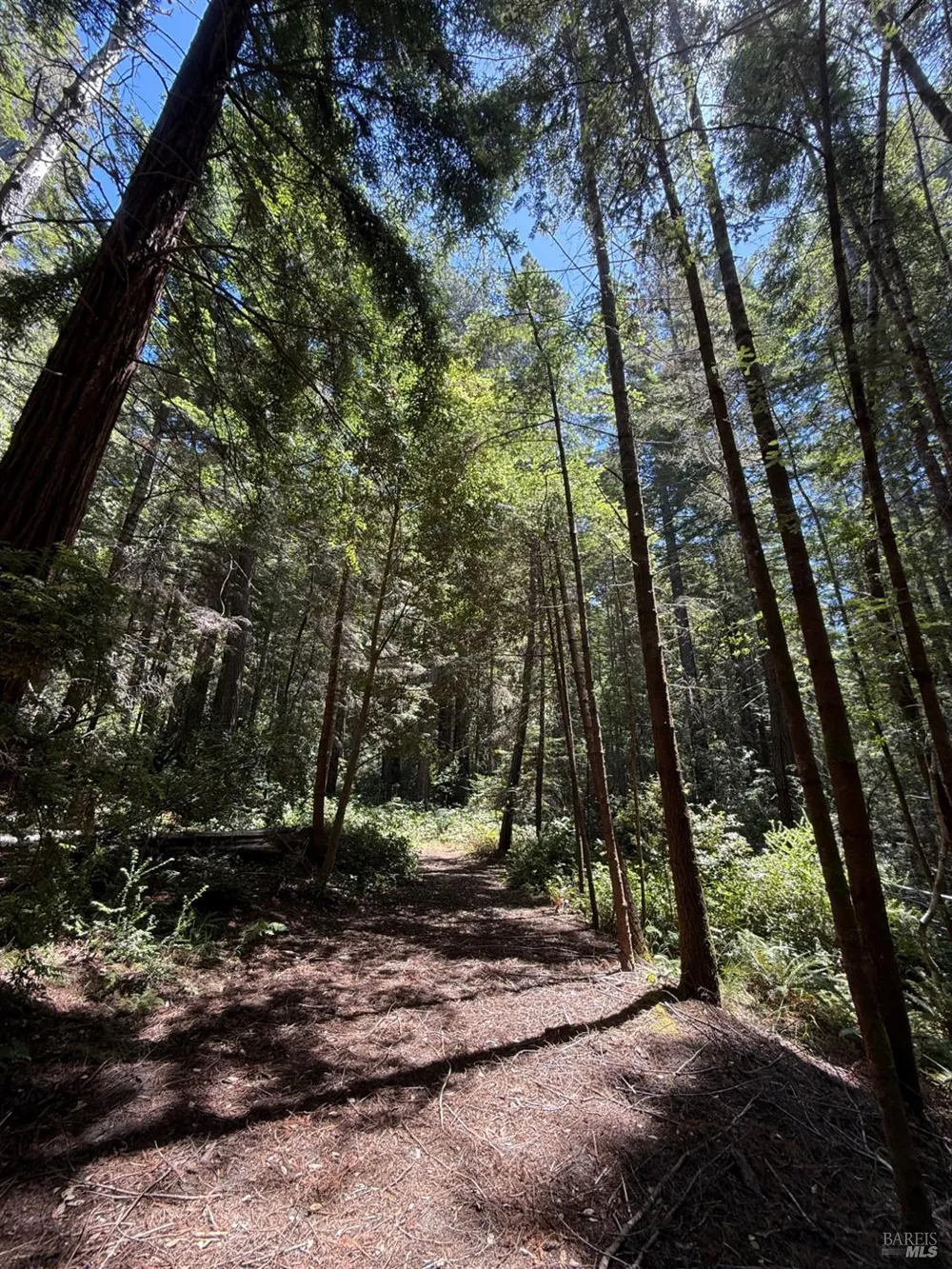 35206 Fly Cloud Road The Sea Ranch, CA 95497