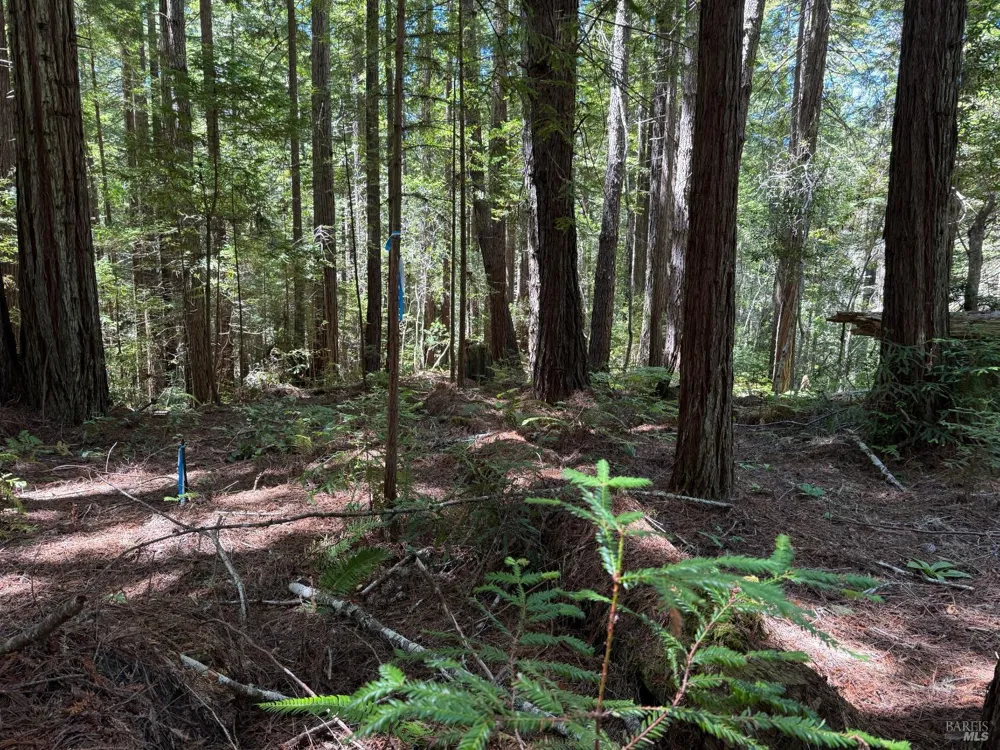 35206 Fly Cloud Road The Sea Ranch, CA 95497