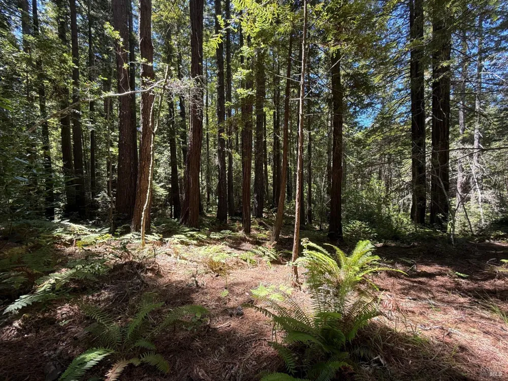 35206 Fly Cloud Road The Sea Ranch, CA 95497