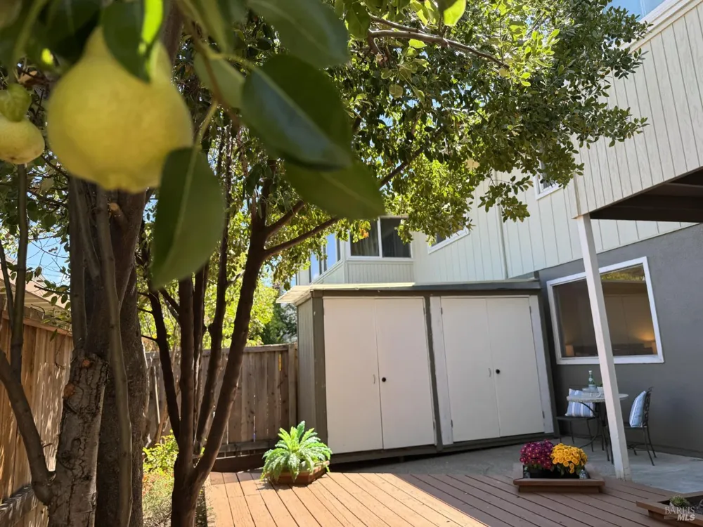 1056 Los Gamos Road ##E San Rafael, CA 94903