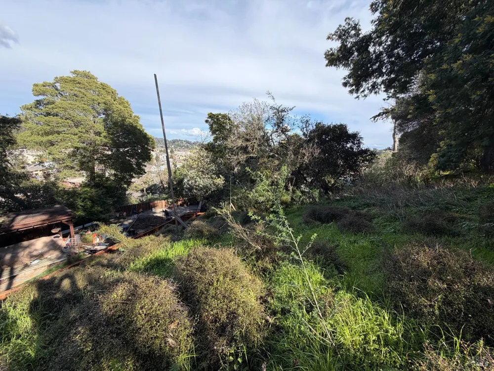 59 Clayton Street San Rafael, CA 94901