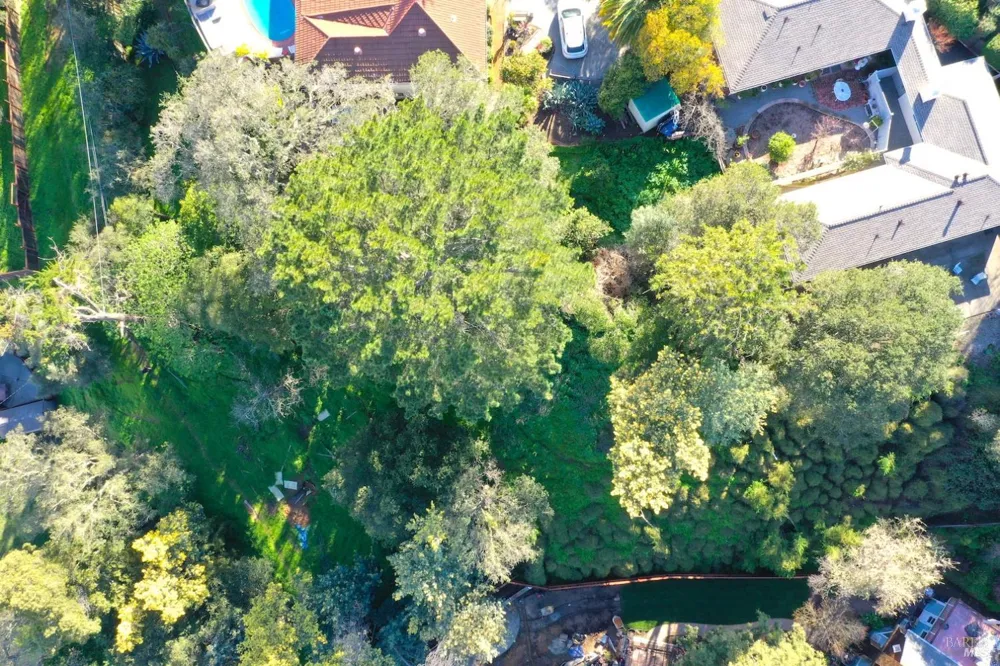 59 Clayton Street San Rafael, CA 94901