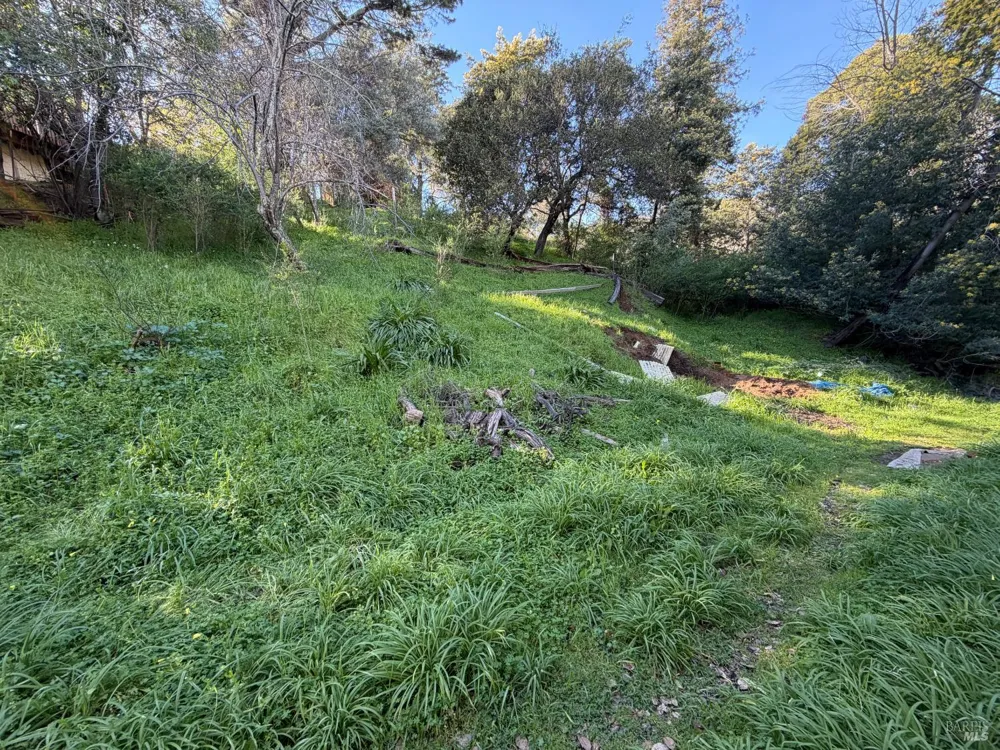 59 Clayton Street San Rafael, CA 94901