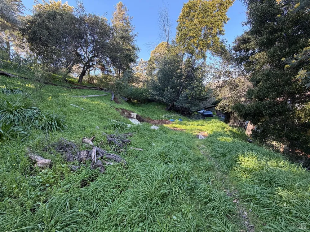 59 Clayton Street San Rafael, CA 94901