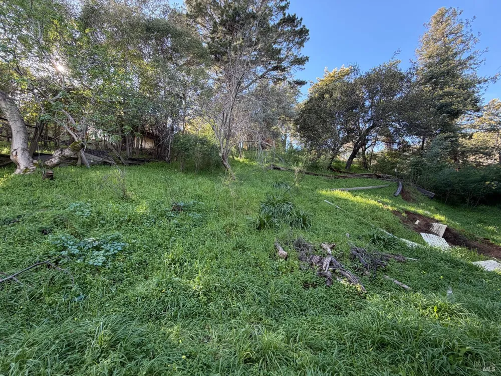 59 Clayton Street San Rafael, CA 94901