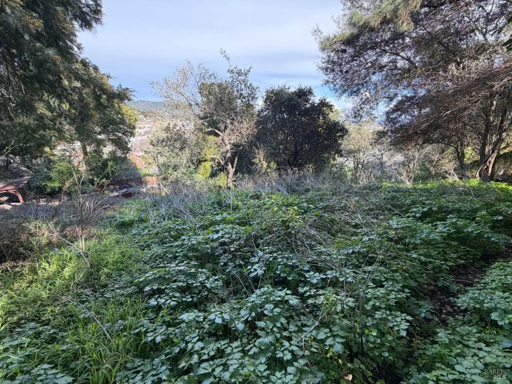 59 Clayton Street San Rafael, CA 94901