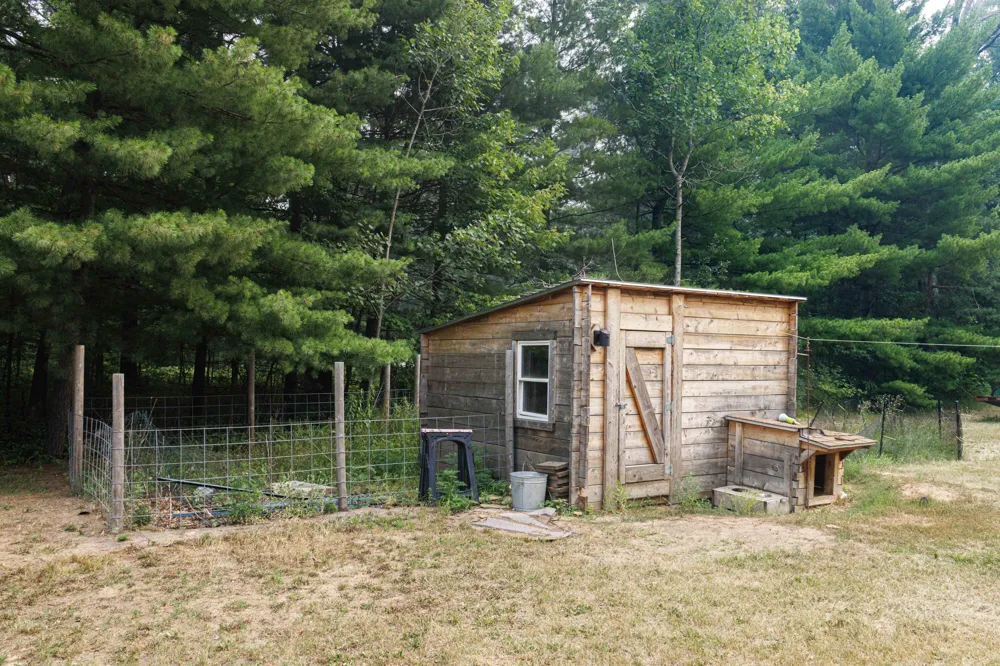 11572 Bingham Avenue Lilley Township, MI 49309