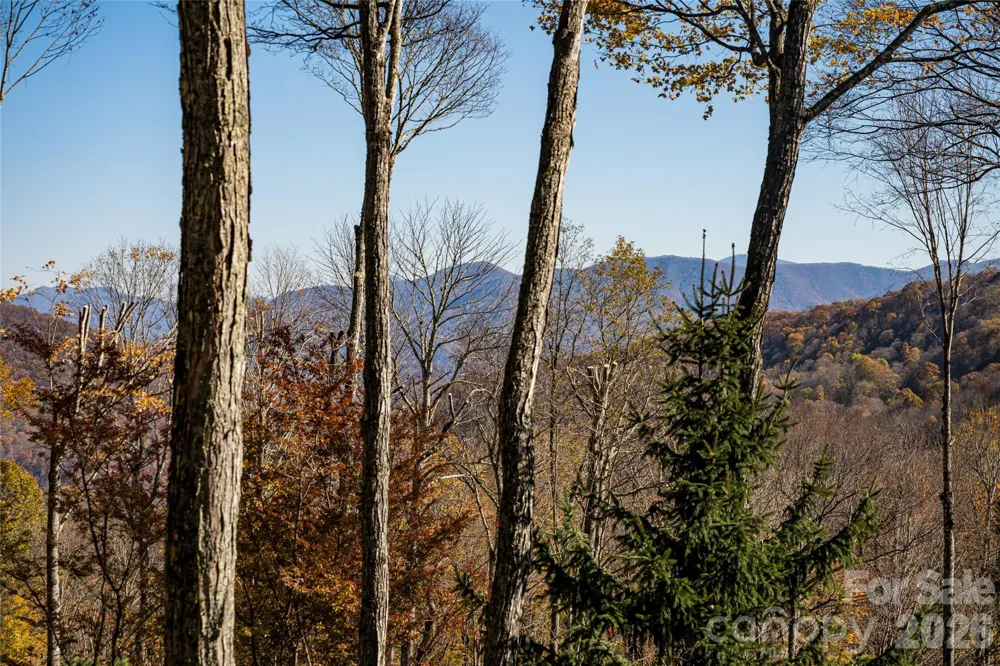 580 Flying Hawk Trail Waynesville, NC 28786