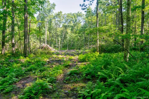Lot 22 Perry Pond Road