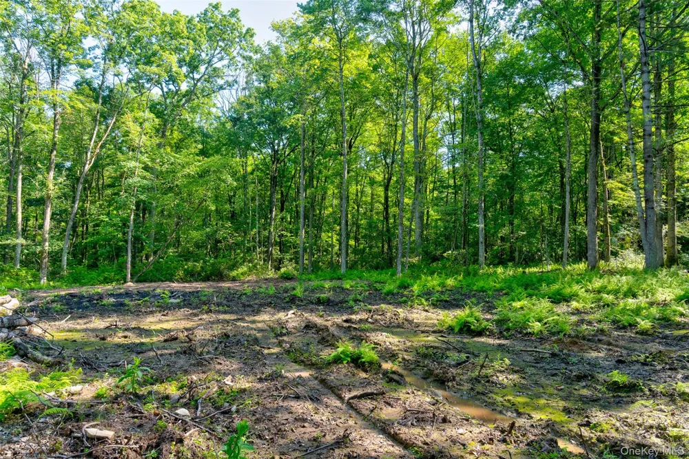 Lot 22 Perry Pond Road Narrowsburg, NY 12764