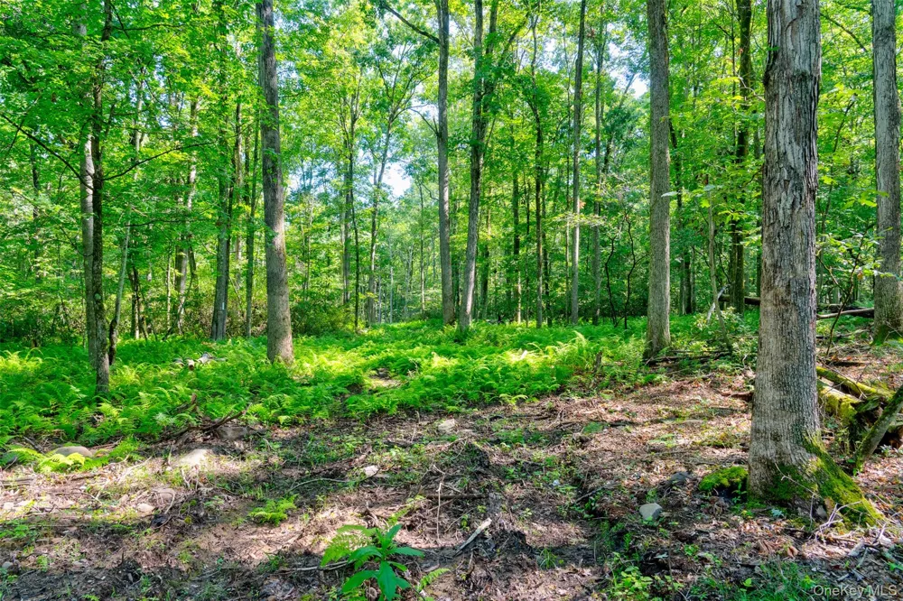 Lot 22 Perry Pond Road Narrowsburg, NY 12764