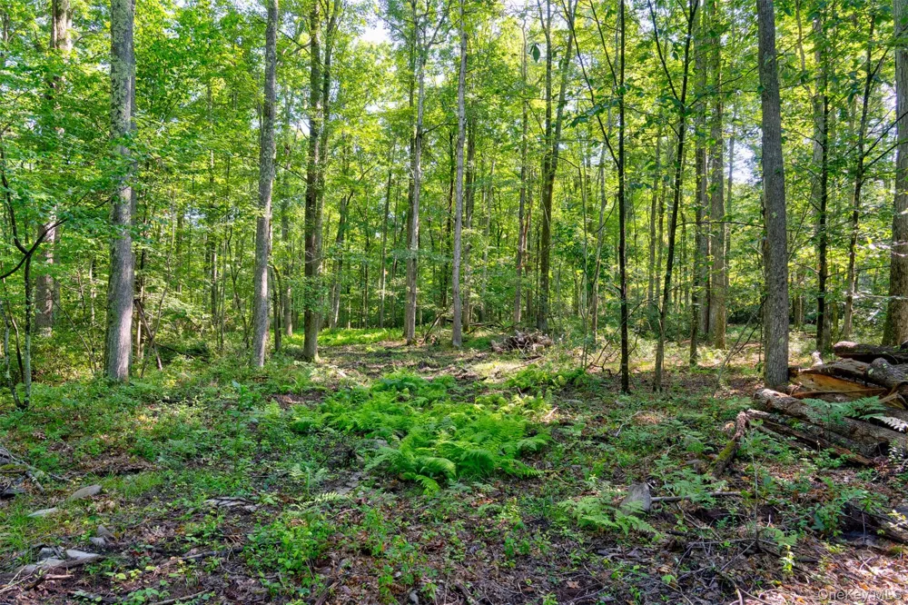 Lot 22 Perry Pond Road Narrowsburg, NY 12764