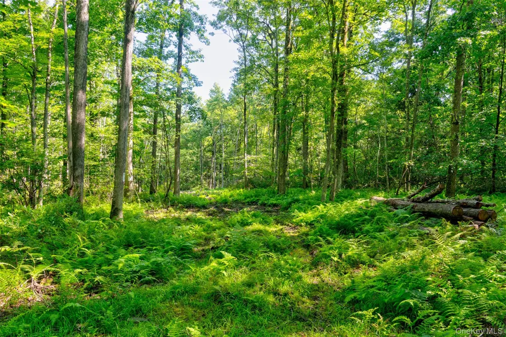 Lot 22 Perry Pond Road Narrowsburg, NY 12764