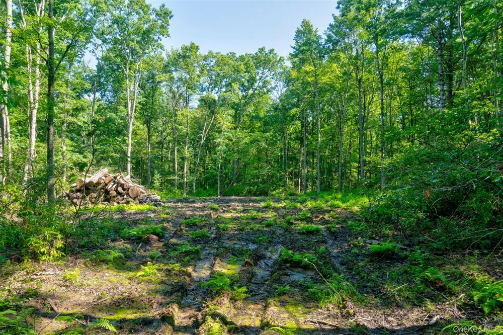 Lot 22 Perry Pond Road Narrowsburg, NY 12764