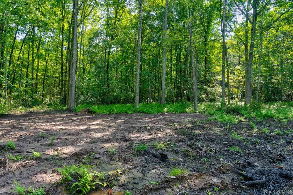 Lot 22 Perry Pond Road Narrowsburg, NY 12764