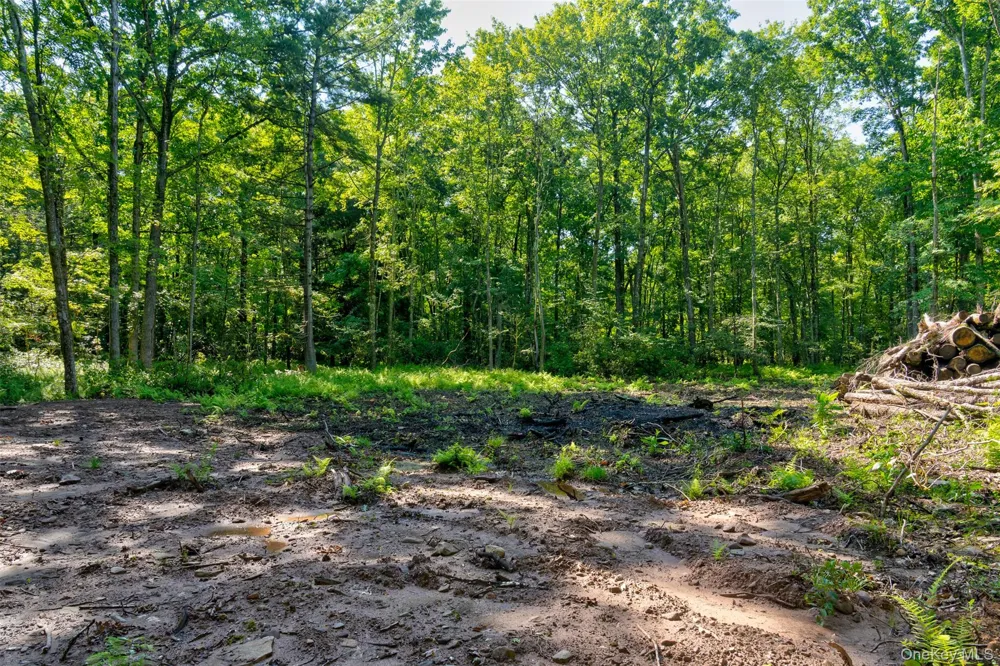 Lot 22 Perry Pond Road Narrowsburg, NY 12764