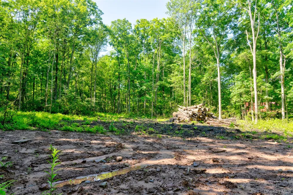 Lot 22 Perry Pond Road Narrowsburg, NY 12764