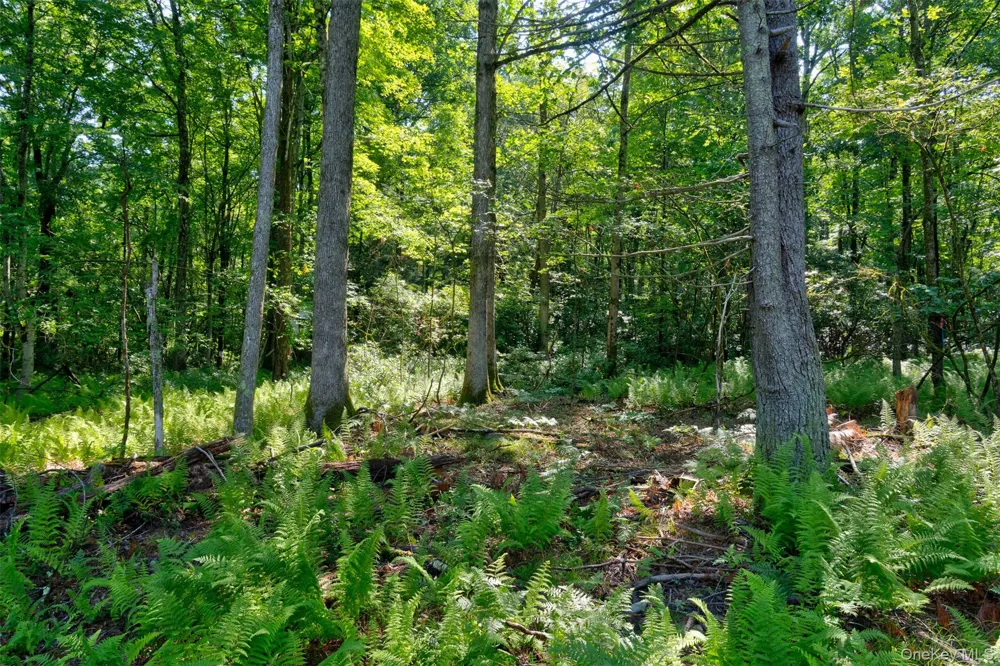 Lot 22 Perry Pond Road Narrowsburg, NY 12764