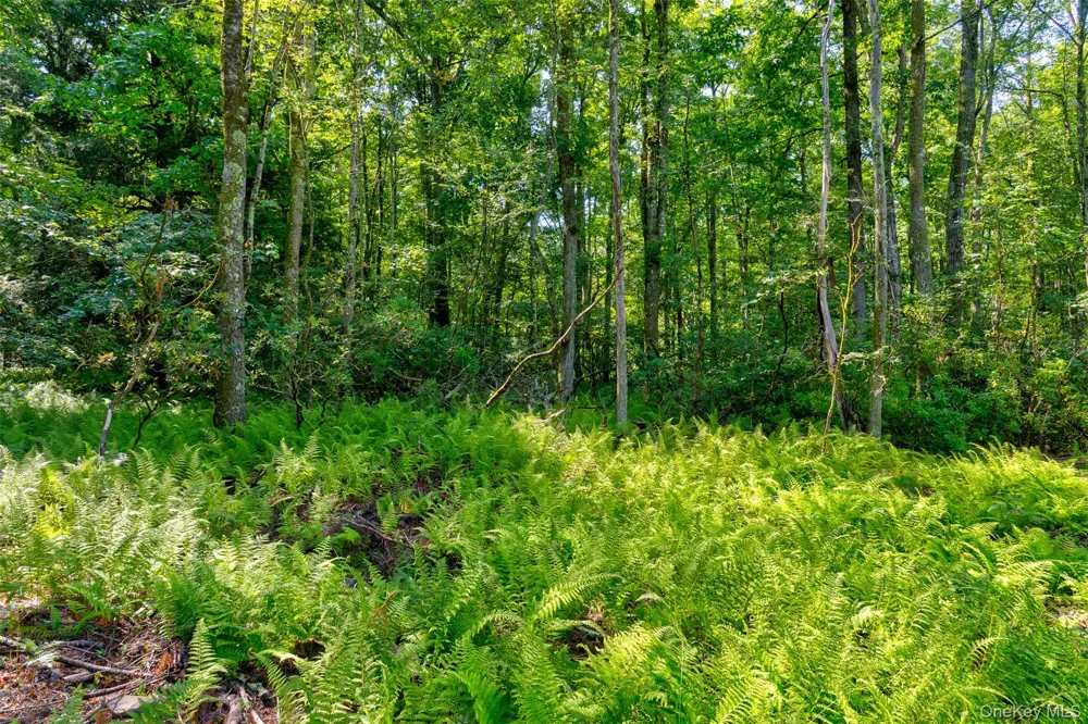 Lot 22 Perry Pond Road Narrowsburg, NY 12764