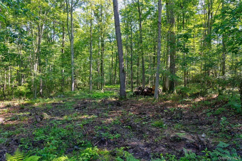 Lot 22 Perry Pond Road Narrowsburg, NY 12764