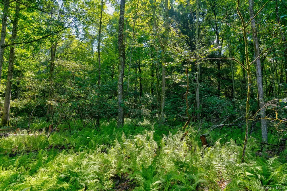Lot 22 Perry Pond Road Narrowsburg, NY 12764