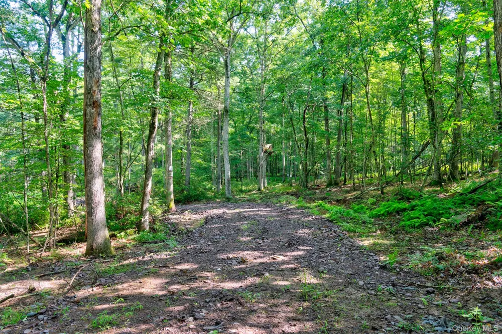 Lot 23 Perry Pond Road Narrowsburg, NY 12764