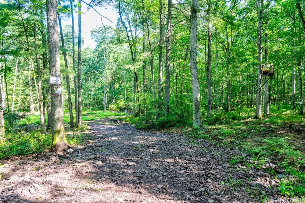 Lot 23 Perry Pond Road Narrowsburg, NY 12764