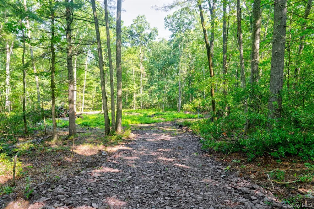 Lot 23 Perry Pond Road Narrowsburg, NY 12764