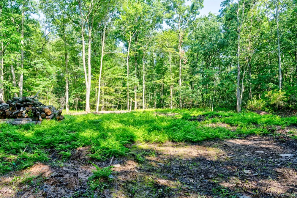 Lot 23 Perry Pond Road Narrowsburg, NY 12764