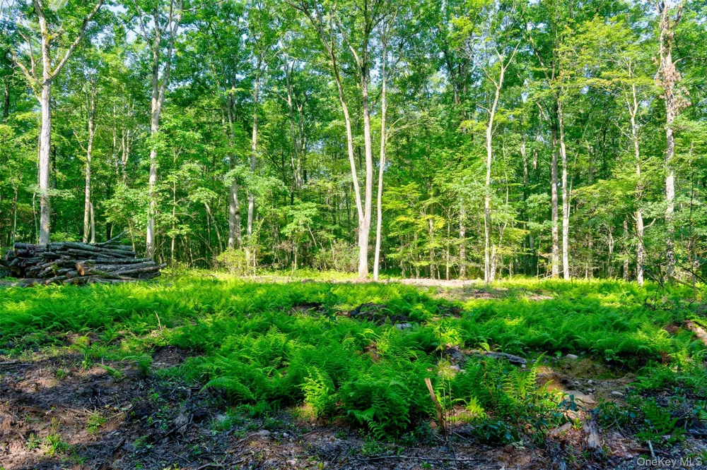 Lot 23 Perry Pond Road Narrowsburg, NY 12764