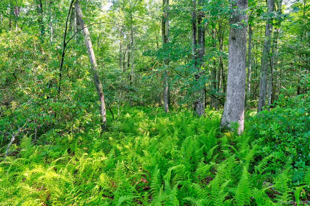 Lot 23 Perry Pond Road Narrowsburg, NY 12764