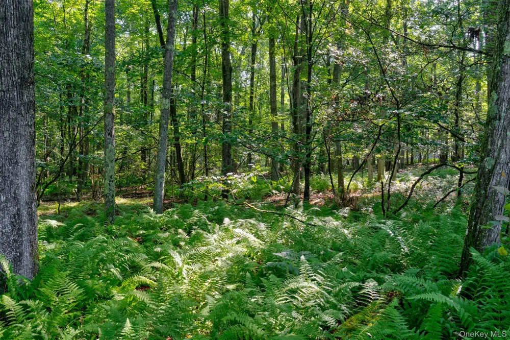 Lot 23 Perry Pond Road Narrowsburg, NY 12764