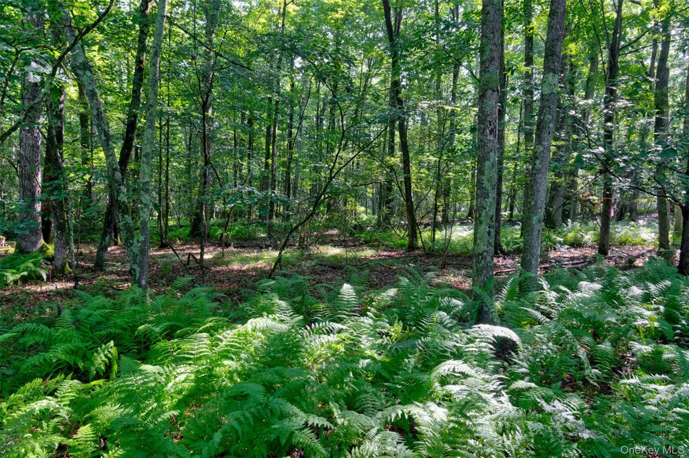 Lot 23 Perry Pond Road Narrowsburg, NY 12764