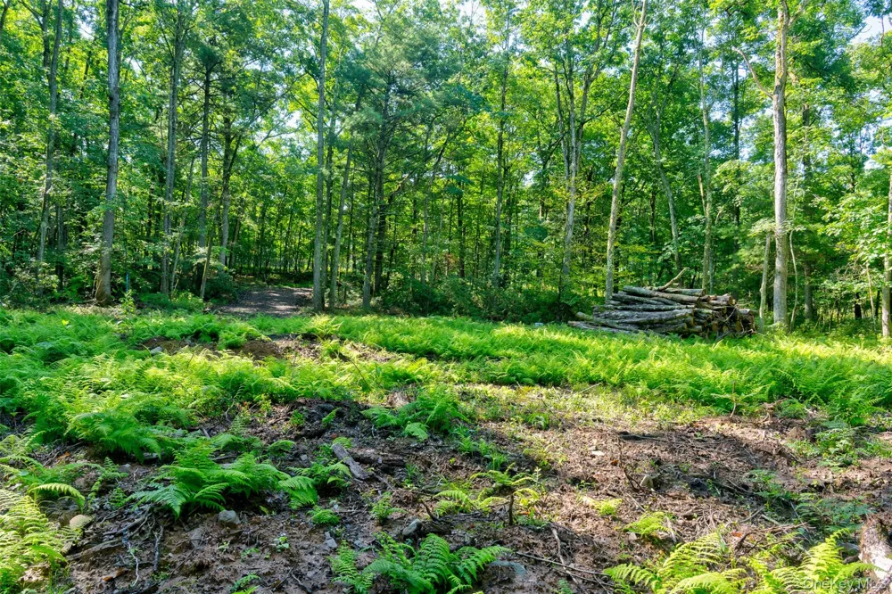 Lot 23 Perry Pond Road Narrowsburg, NY 12764