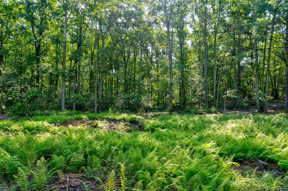 Lot 23 Perry Pond Road Narrowsburg, NY 12764