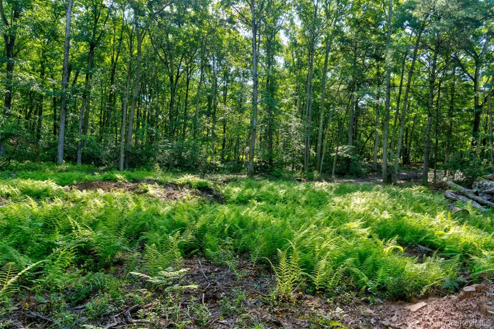 Lot 23 Perry Pond Road Narrowsburg, NY 12764