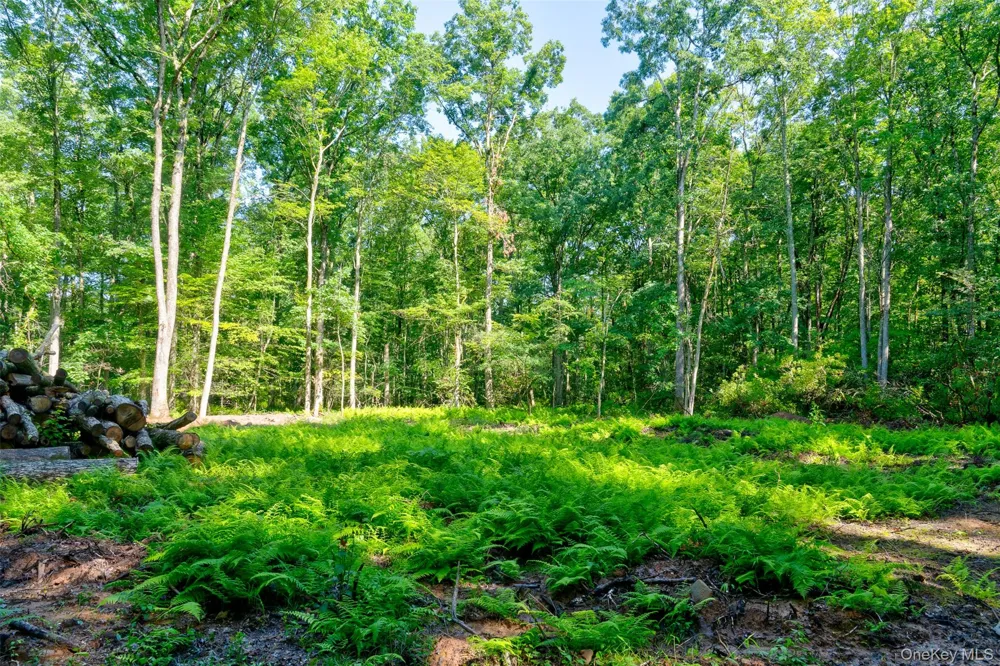 Lot 23 Perry Pond Road Narrowsburg, NY 12764
