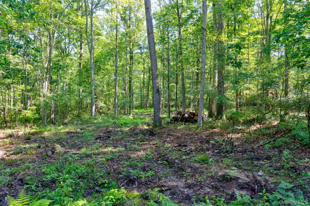 Lot 23 Perry Pond Road Narrowsburg, NY 12764