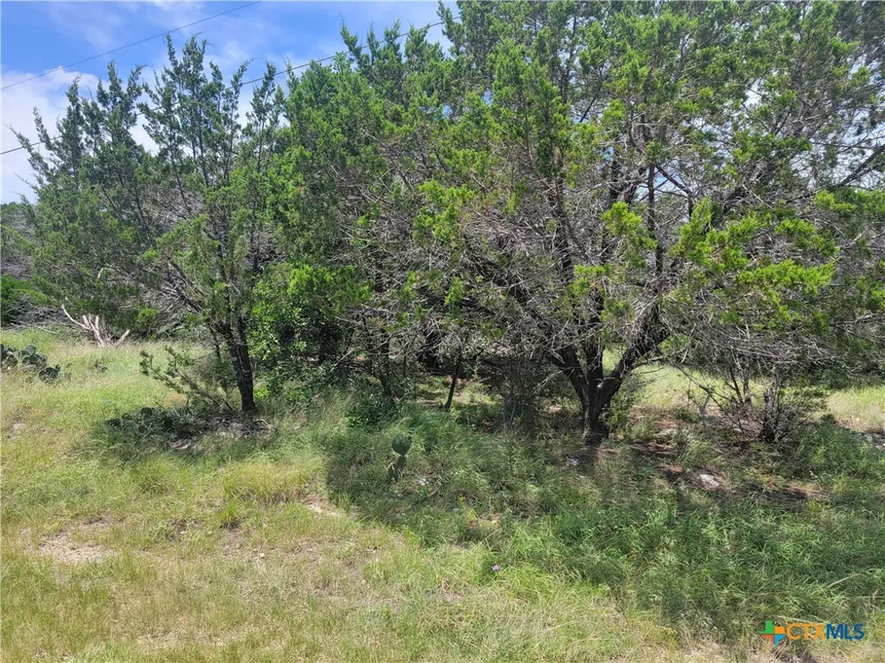 16011 Brazos Drive Temple, TX 76502