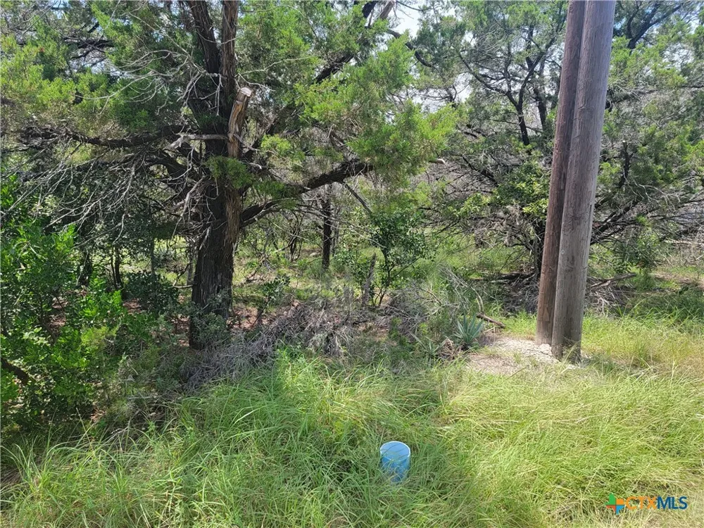 16011 Brazos Drive Temple, TX 76502