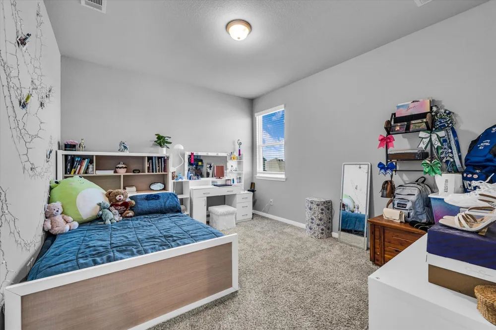 11324 Pallasite Circle Lorena, TX 76655