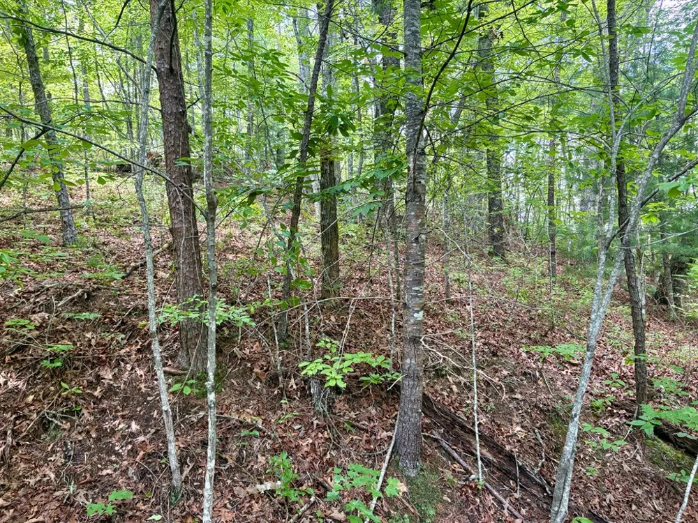 Watia Road Bryson City, NC 28713