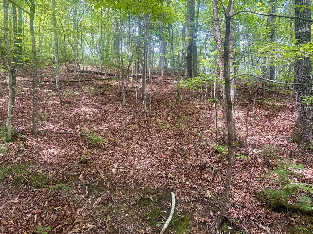 Watia Road Bryson City, NC 28713