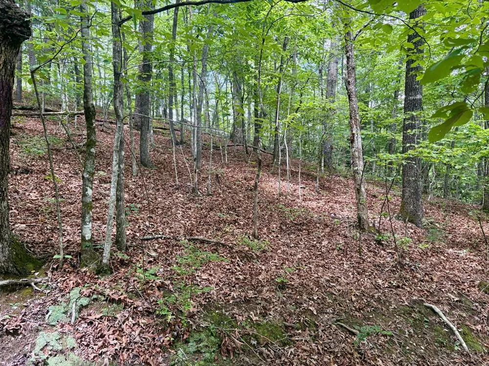 Watia Road Bryson City, NC 28713