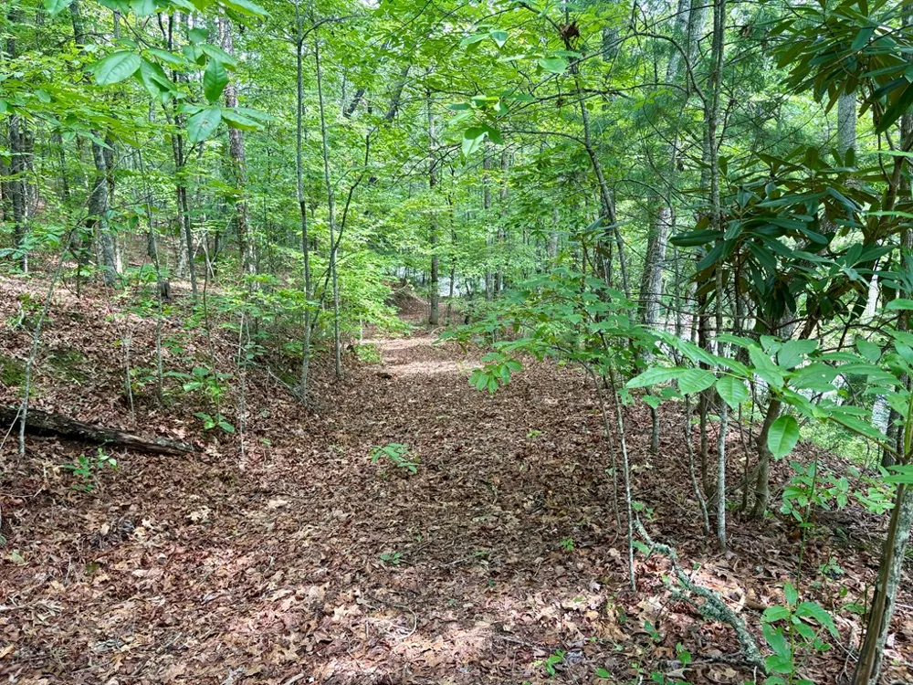 Watia Road Bryson City, NC 28713