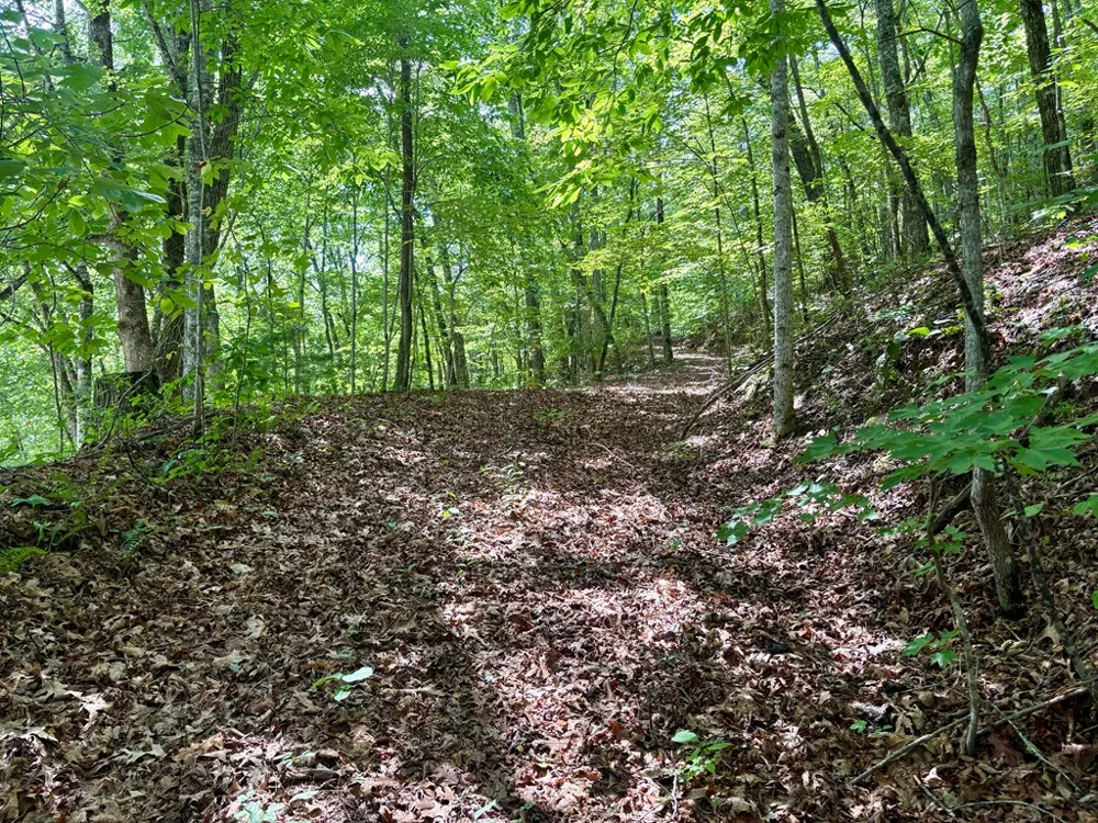 Watia Road Bryson City, NC 28713