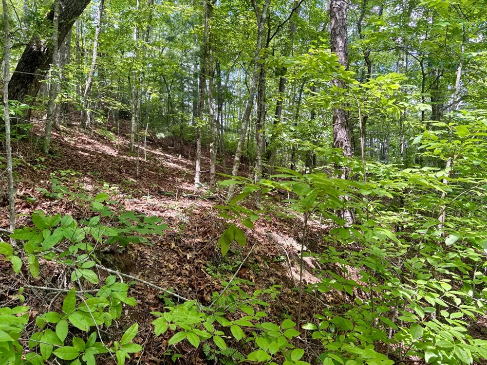 Watia Road Bryson City, NC 28713