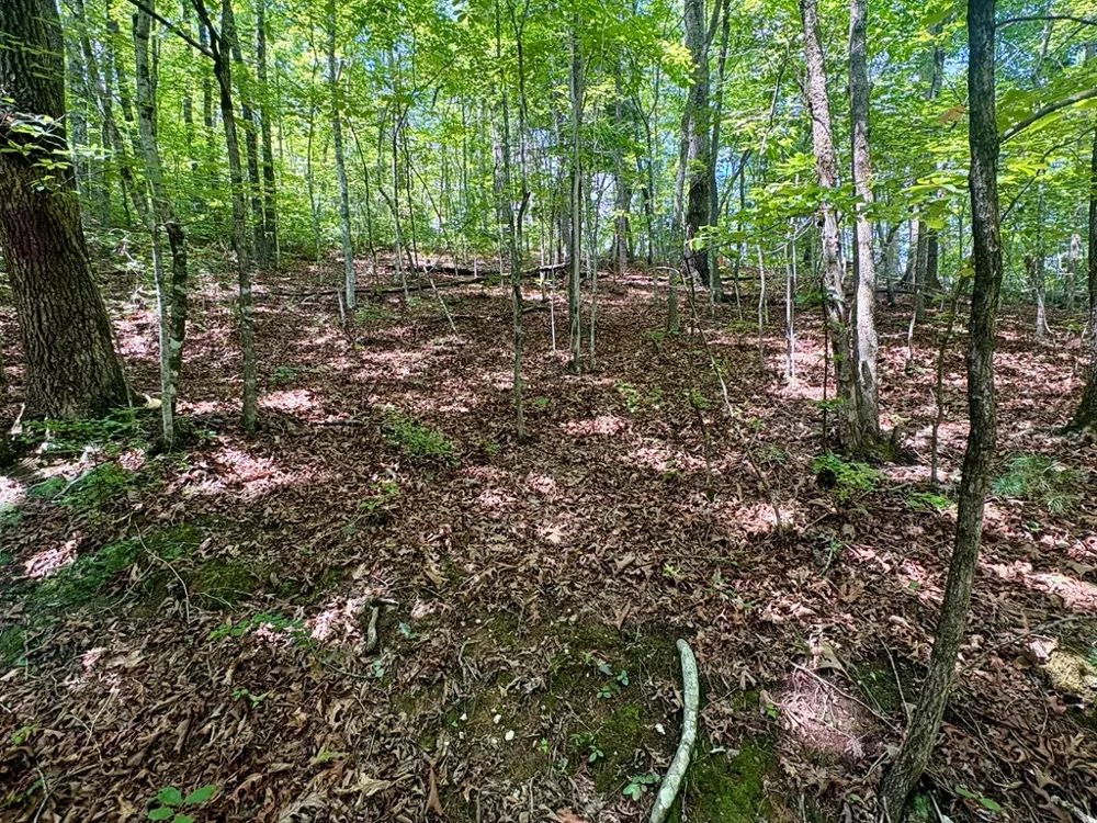 Watia Road Bryson City, NC 28713
