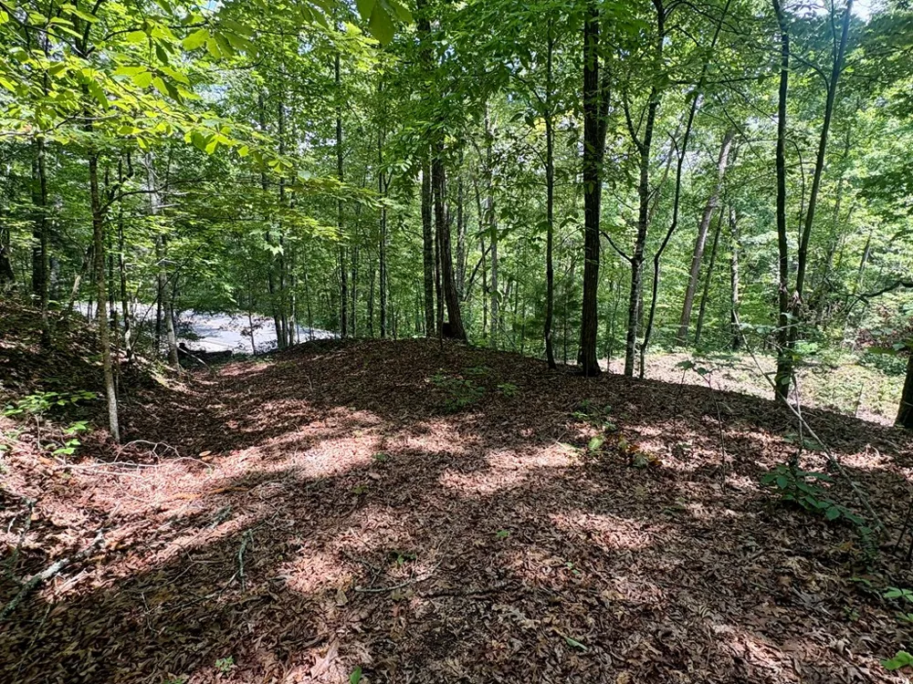 Watia Road Bryson City, NC 28713