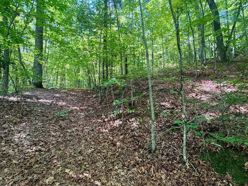 Watia Road Bryson City, NC 28713